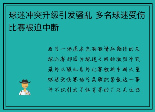 球迷冲突升级引发骚乱 多名球迷受伤比赛被迫中断